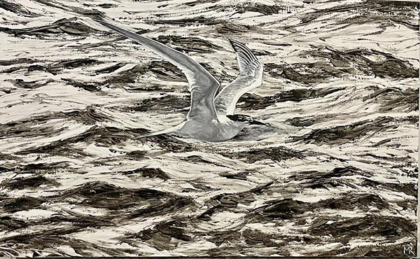 Sandwich Tern | £350