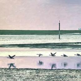 Marion Royle | Lymington Art Scene