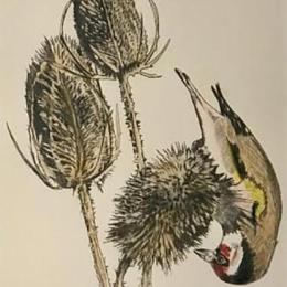 Helen Arthur Printmaker