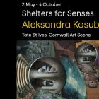 Aleksandra Kasuba: Shelters for Senses