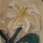 Peace Lily | £650