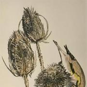 Helen Arthur Printmaker