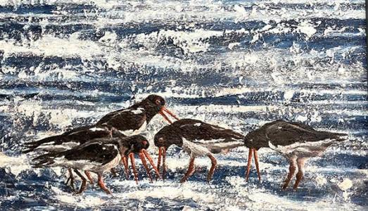 Oystercatchers | £300