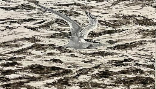 Sandwich Tern | £350