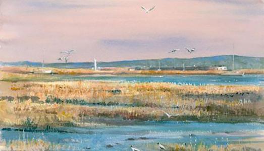 Across the Marshes