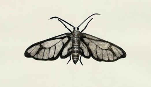 Becky Haywood Printmaker
