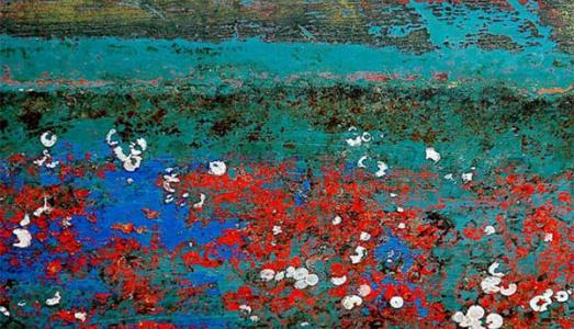 Beverley Saunders Printmaker