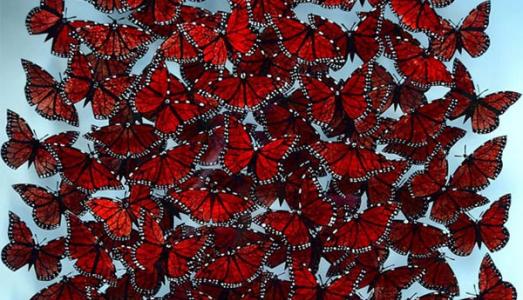 Danni Bradford Glass Art