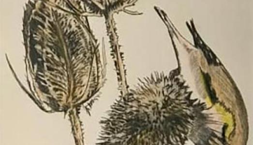 Helen Arthur Printmaker