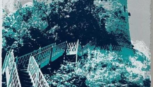 Jacqui Dobbs Printmaker