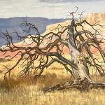 O'Keefe's Tree Ghost Ranch, New Mexico