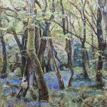 Constantine Woods