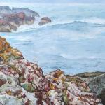 Lichen on Rocks