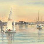 Evening Sail Lymington