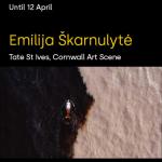 Emilija Škarnulytė