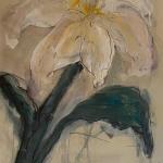 Peace Lily | £650