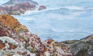 Lichen on Rocks, St Abb's Head | £1380