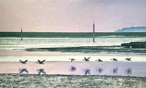 Marion Royle | Lymington Art Scene