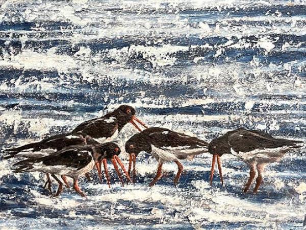 Oystercatchers | £300
