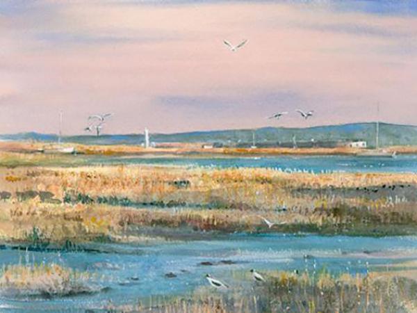 Across the Marshes