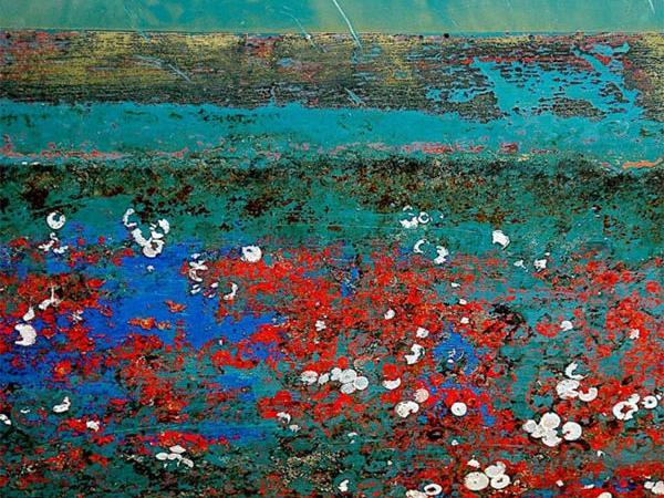 Beverley Saunders Printmaker