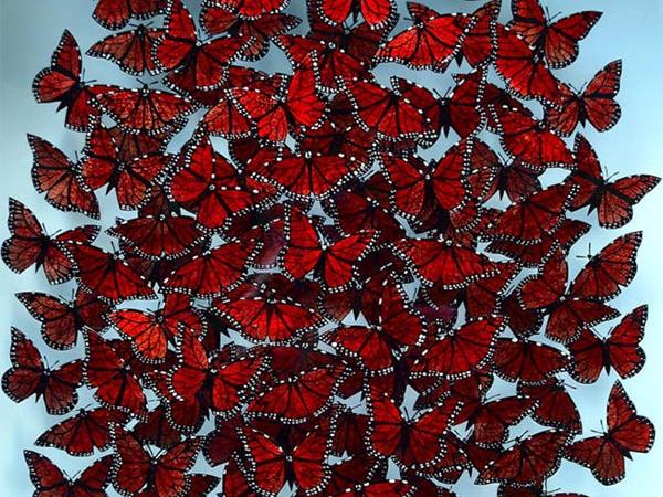 Danni Bradford Glass Art