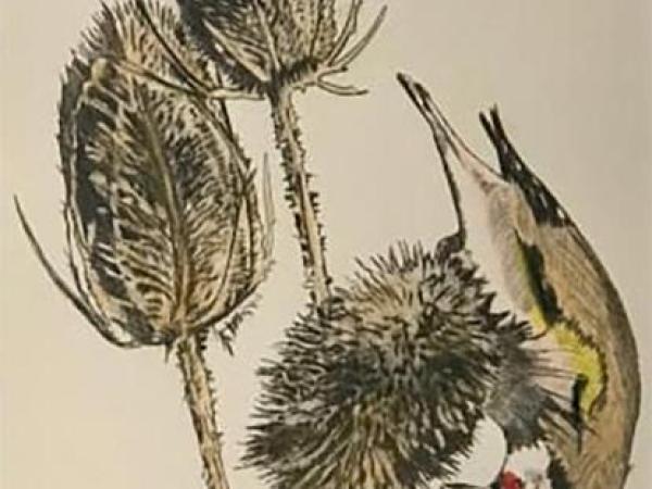 Helen Arthur Printmaker