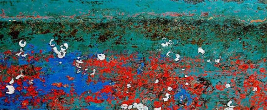 Beverley Saunders Printmaker