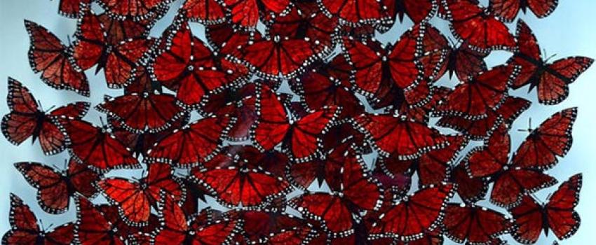 Danni Bradford Glass Art