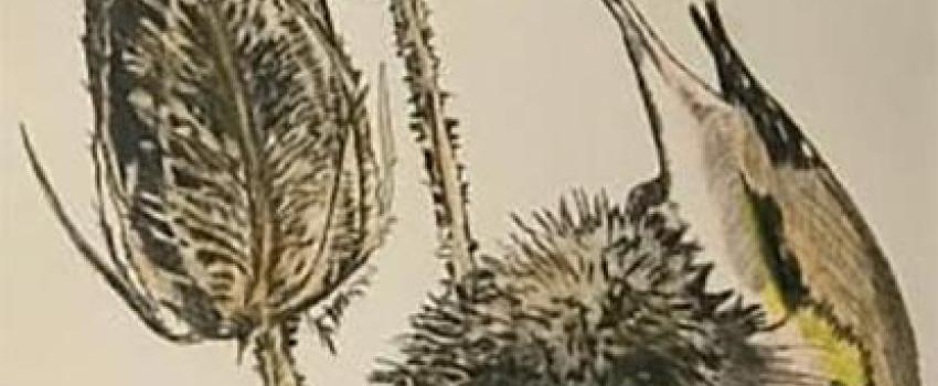 Helen Arthur Printmaker