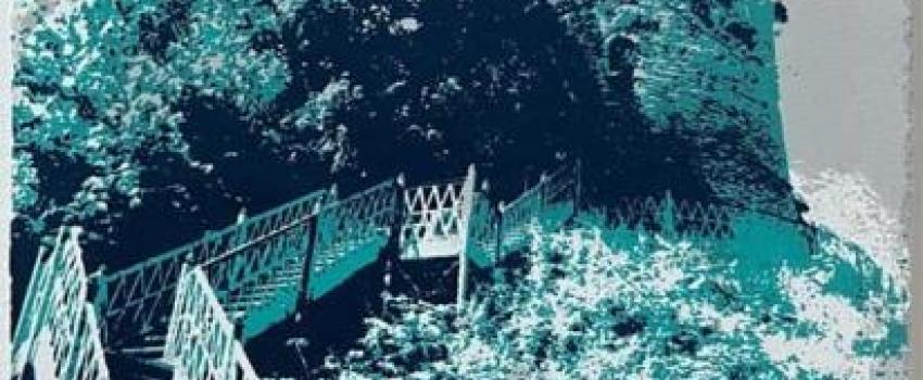 Jacqui Dobbs Printmaker