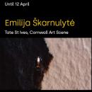 Emilija Škarnulytė