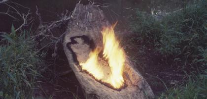 Ana Mendieta