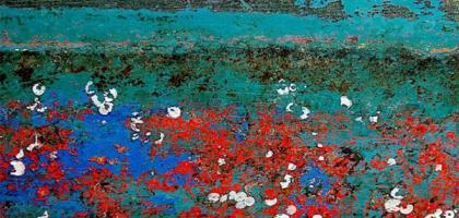 Beverley Saunders Printmaker