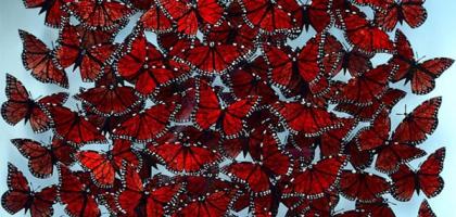 Danni Bradford Glass Art