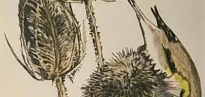 Helen Arthur Printmaker