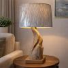 Handcrafted Driftwood Lamp 1