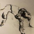Trina Hart | Lymington Art Scene