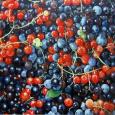 Red Currants Black Currants Blue Berries